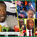 Tottenham : Pape Matar Sarr confirme sa belle forme face à Everton