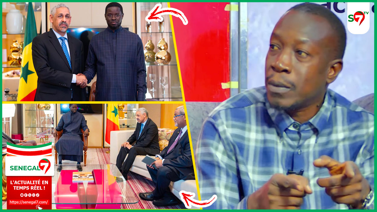 (Vidéo) Sommet UE, UA en Angola: les conseils précieux d'Abdoulaye Mbow à DIOMAYE "ça fait mal quand..."