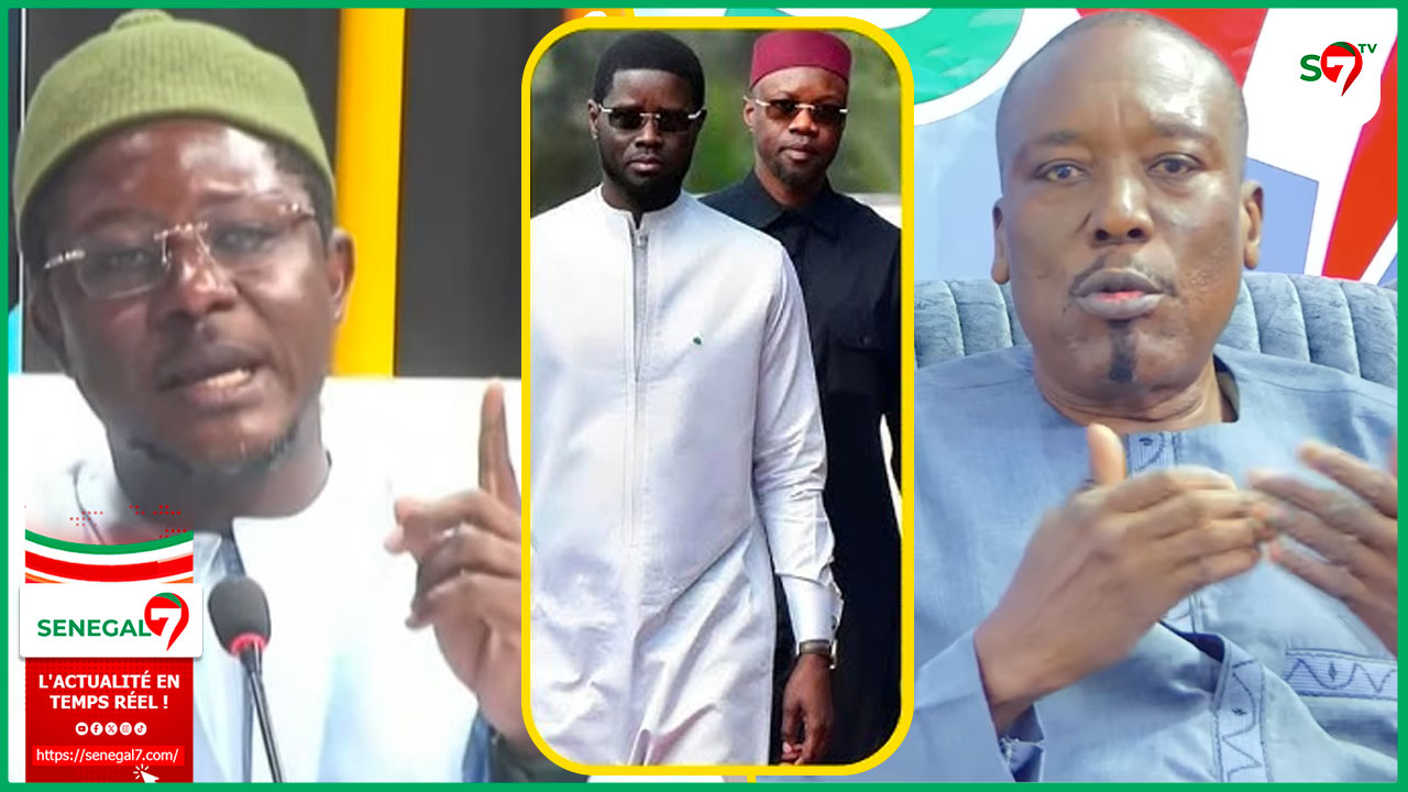 (Vidéo) "Cheikh Bara Ndiaye Lep Loum Wakh Fou Leer Lako Djélé DIOMAYE... SONKO DIna Lakeu Niou Bari" Aladji Rafet assene ses verites