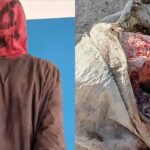 Vidéo | Agropole Sud : Le Chef de l’État visite les travaux de la société Go Groupe à Adéane (Ziguinchor)