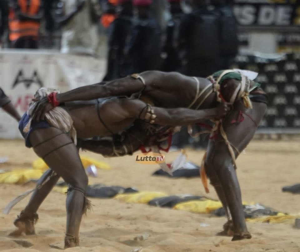 Sanctions financières : Mor Kang Kang et Prince écopent chacun de 500.000 F CFA