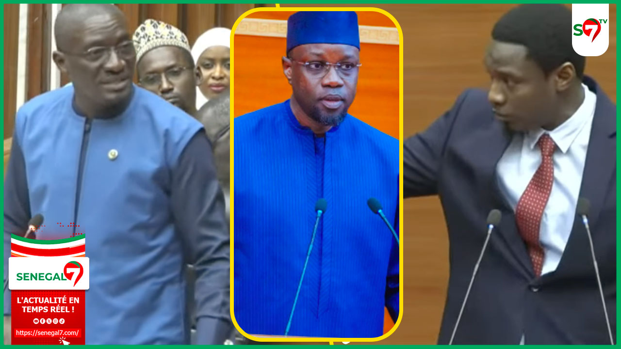 (Vidéo) Assemblée: les questions brulantes de Pape Djibril Fall de retour après sa sortie musclée contre SONKO