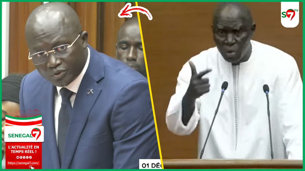 (Vidéo) Assemblée: Tafsir Thioye à Yankhoba Dieme "on a beaucoup fait de la politique politicienne dans votre secteur"
