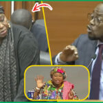 Emigration irrégulière : Une pirogue en détresse transportant 238 candidats secourue