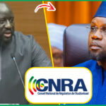 (Vidéo) Assemblée: Me Tall vole au secours du ministre Aliou Sall « quand on vous associe au CNRA qui n’a rien avoir avec… »