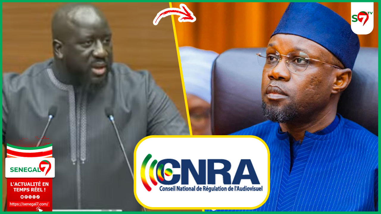(Vidéo) Insult£s contre SONKO: la position tranchée du ministre Aliou Sall « Ministere Ak CNRA… »
