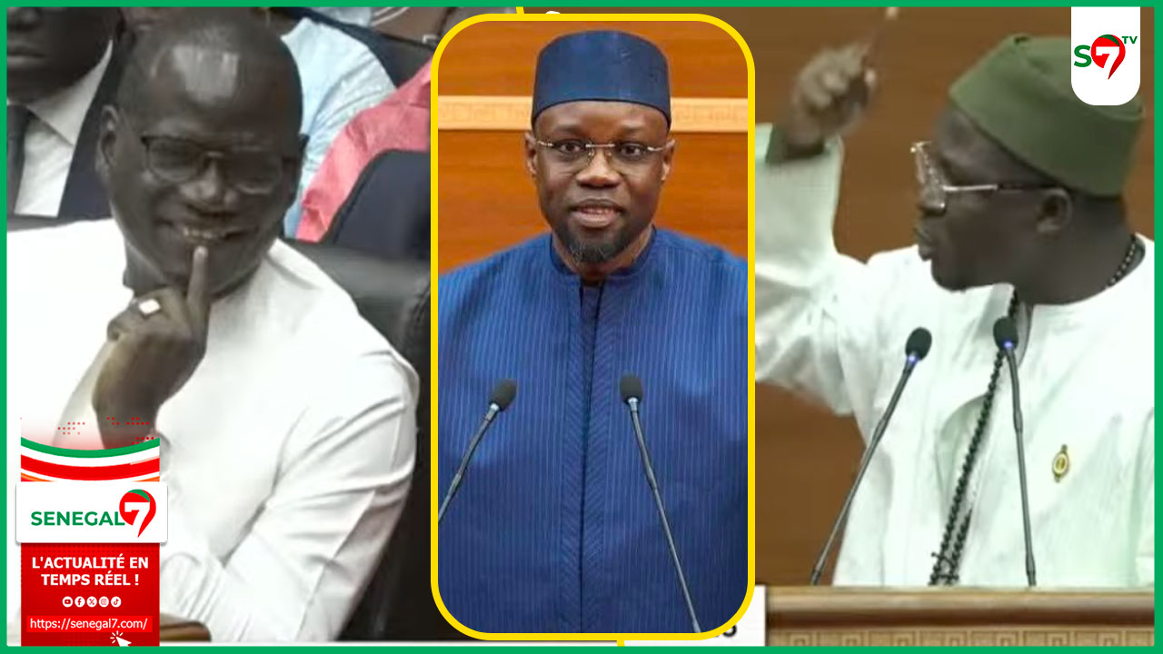 (Vidéo) Assemblée : Cheikh Bara Ndiaye tacle severement Dr Abdoulaye Diouf "Fi Nieup Dañla Méré… SONKO Ken Dou Xeuthiok Mom... So Xamone Liniou Dadj Ding Niou Respecté…"