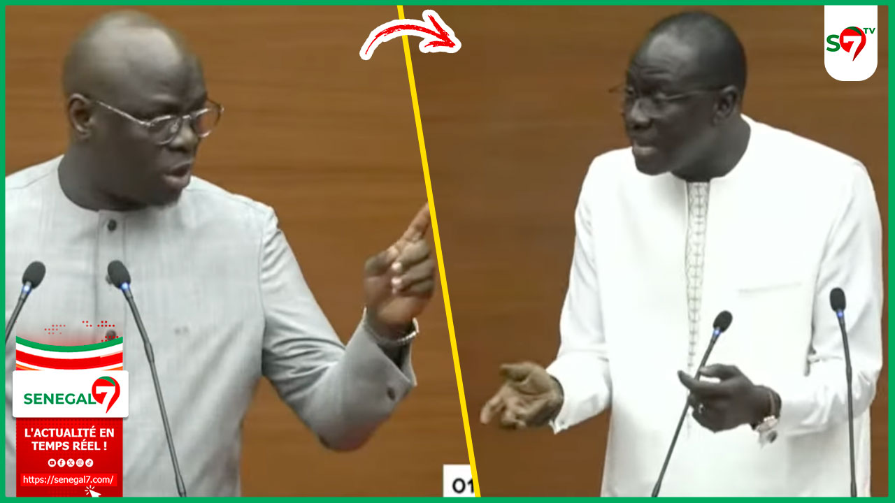 (Vidéo) Assemblée: les precisions de Cheikh Diba après les reponses du ministre Daouda Ngom "le modèle n’est pas bon"