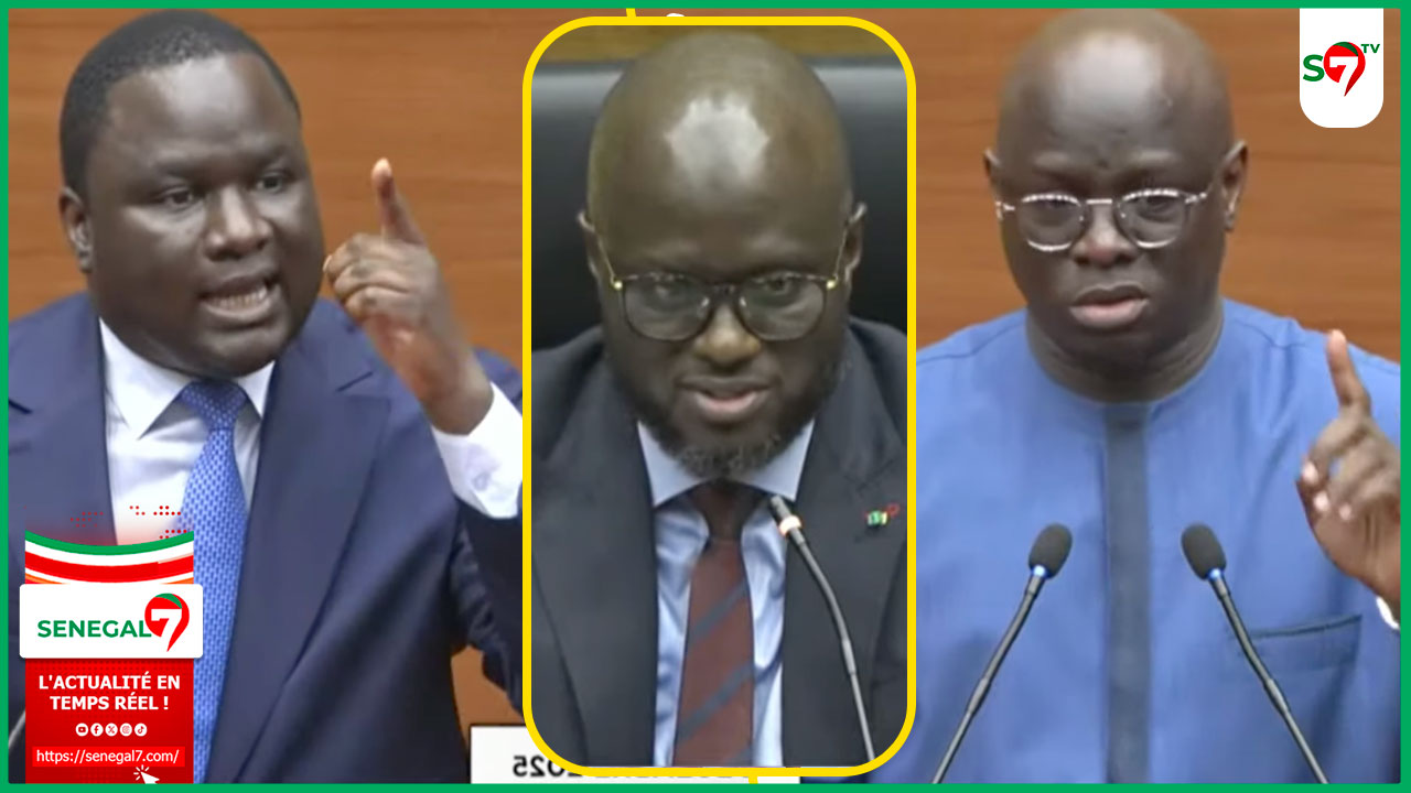 (Vidéo) Assemblée : l’intégralité des réponses des ministres Dethie Fall & Cheikh Diba devant les députés