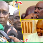 « Ray mboté » : Alioune Tine réagit à la blague de Diomaye sur Sonko