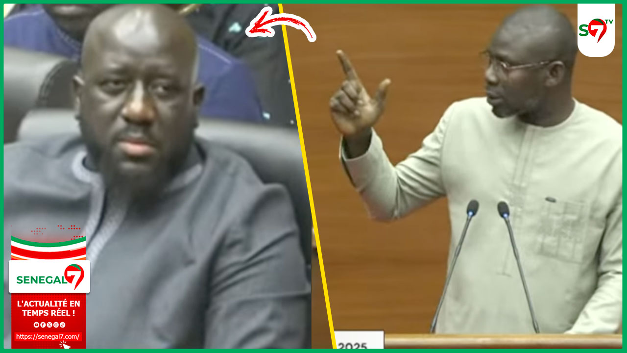 (Vidéo) Assemblée : Ismaila Diallo encense le ministre Aliou Sall « ne cédez pas à la pression… »