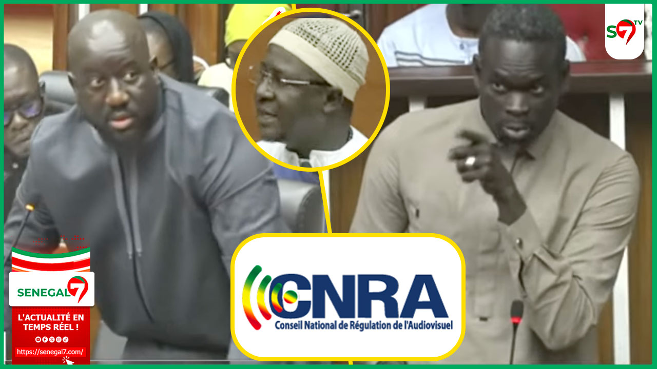(Vidéo) Assemblée: Me Tall vole au secours du ministre Aliou Sall "quand on vous associe au CNRA qui n’a rien avoir avec..."