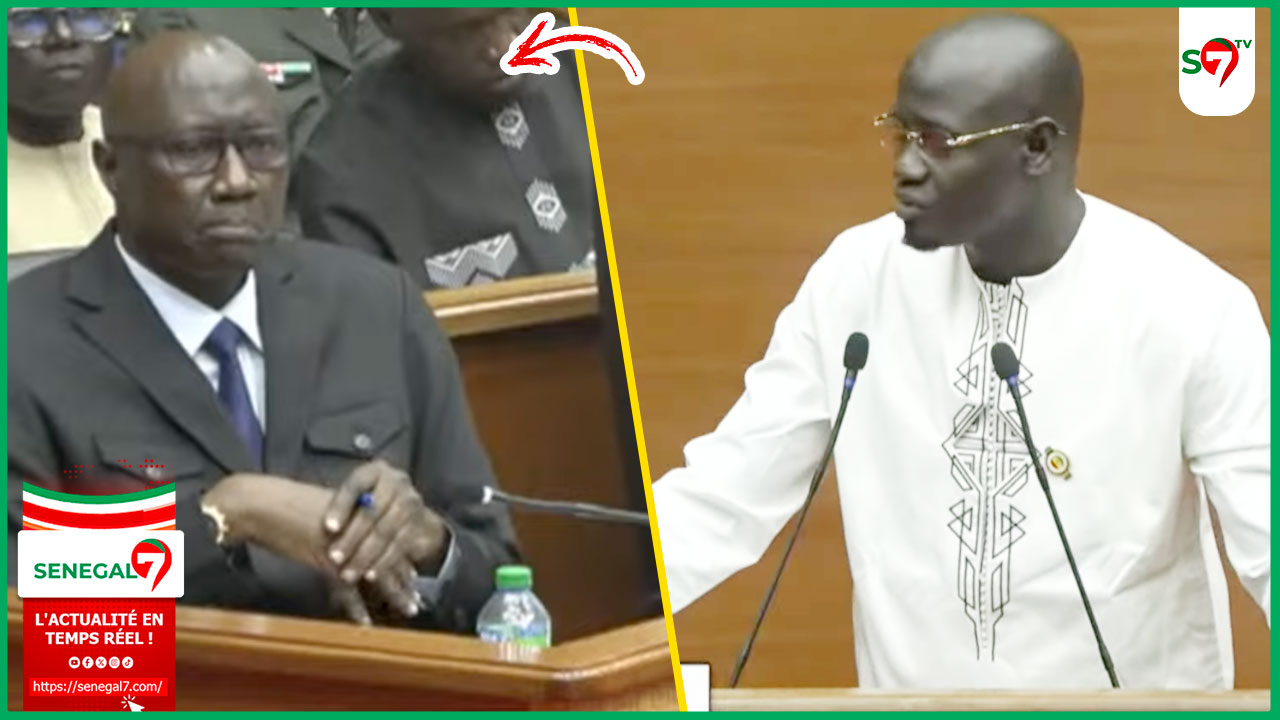 (Vidéo) Assemblée : La proposition pertinente de Samba Dang au ministre des Forces Armé£s "Service Militaire à 18 ans..."