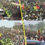 De très belles images : La caravane des lions champion dAfrique sur l’autoroute à péage (Vidéo)