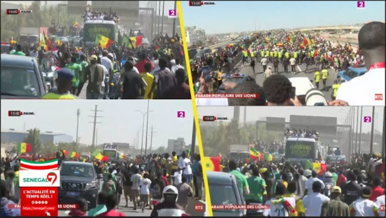 De très belles images : La caravane des lions champion dAfrique sur l'autoroute à péage (Vidéo)