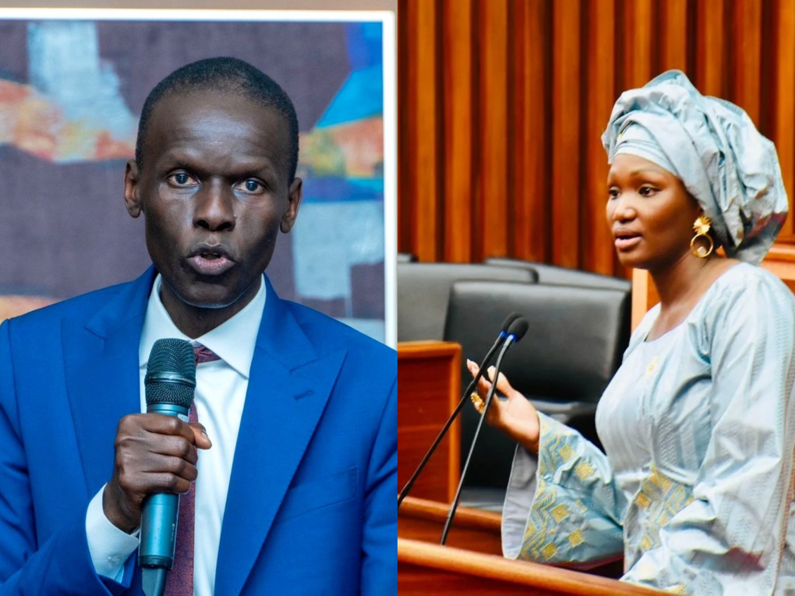 "Réclamer la dissolution de l’assemblée est une bêtise politique" : Waly D. Bodian brocarde Anta Babacar Ngom