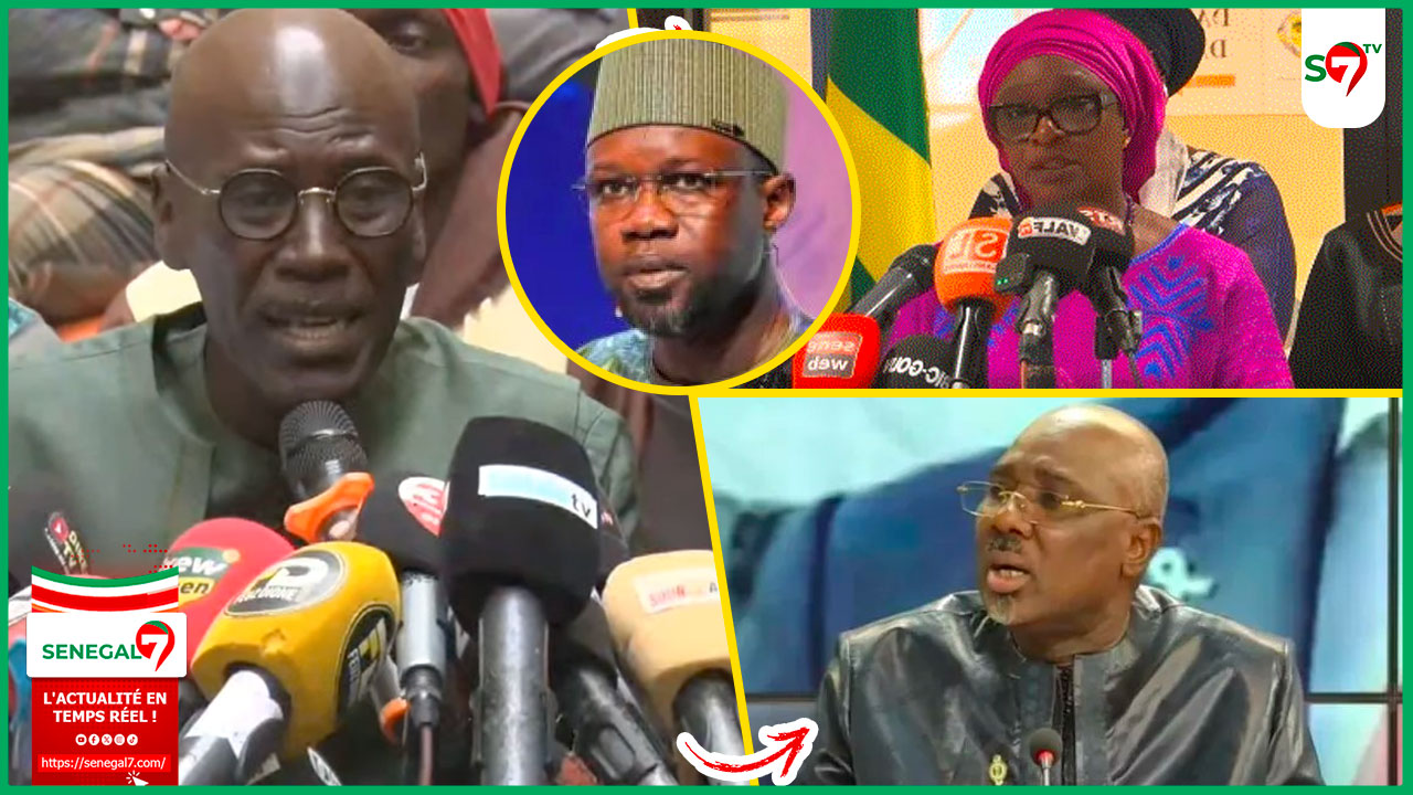 (Video) Réplique salée de Seydou Gueye après la sortie musclée de Yassine Fall "SONKO a fini de ridiculiser la justice..."