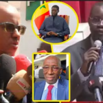 Édouard Mendy, la saison de la consécration