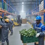 Kärcher nomme Joe Lahoud à la présidence de la nouvelle région Moyen-Orient et Afrique (MEA)