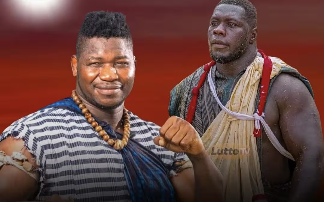 Lutte : la FSL accorde une dérogation pour le face-à-face Franc – Tapha Tine