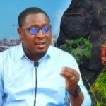 Lamb : La fédération de lutte suspend les face-à-face et open-press jusqu’à nouvel ordre