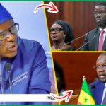 (Video) Suspension des face à face: Pawlish Mbaye tacle severemnt les lutteurs « Da Ame Ay Meure You Rèw… Bèw… »